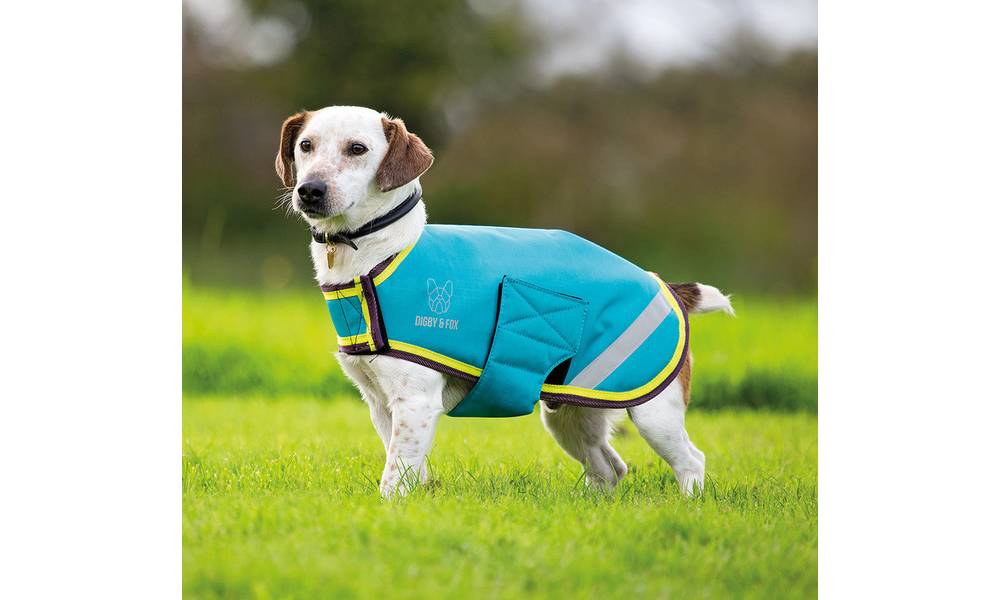 Shires Digby & Fox Waterproof Dog Coat EquestrianCollections