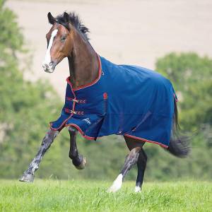 Shires Highlander Plus 300 Standard Neck
