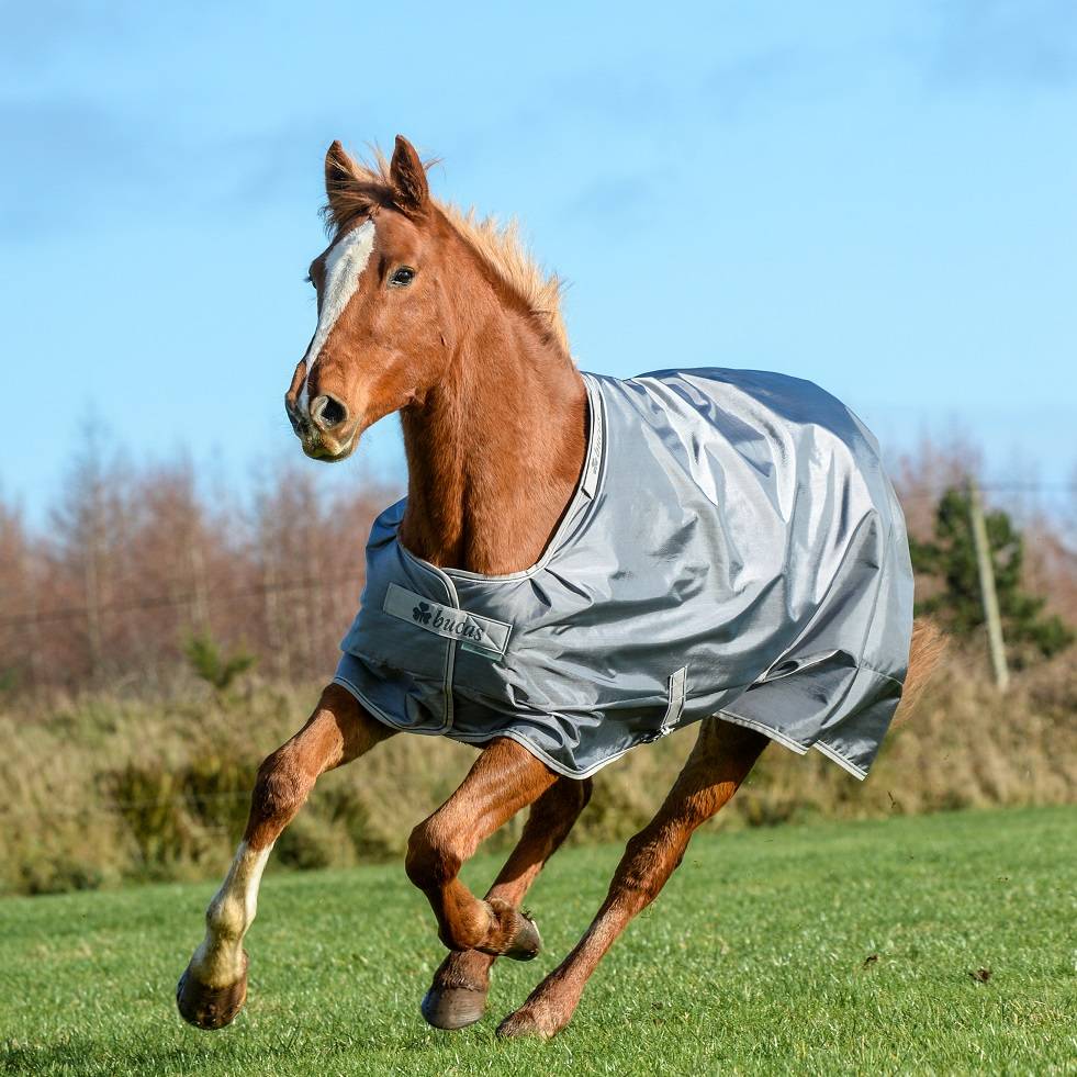 Bucas Smartex Rain Lightweight Horse Turnout Blanket