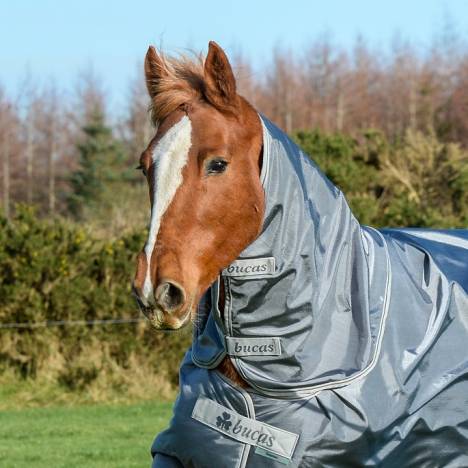 Bucas Smartex Horse Neck Rug