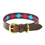 WeatherBeeta Dog Leashes & Dog Collars