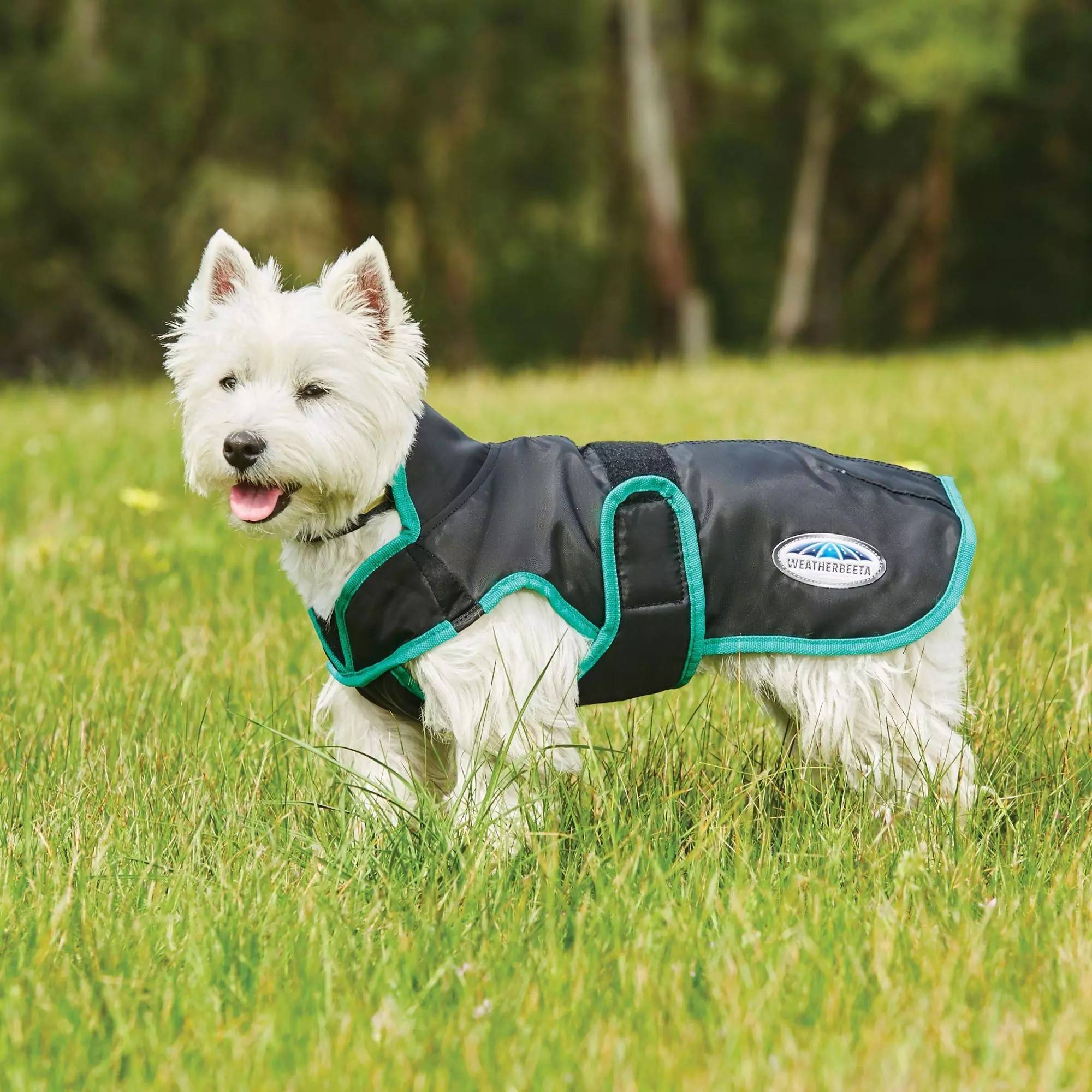 Weatherbeeta Reflective Dog Parka 300d Deluxe