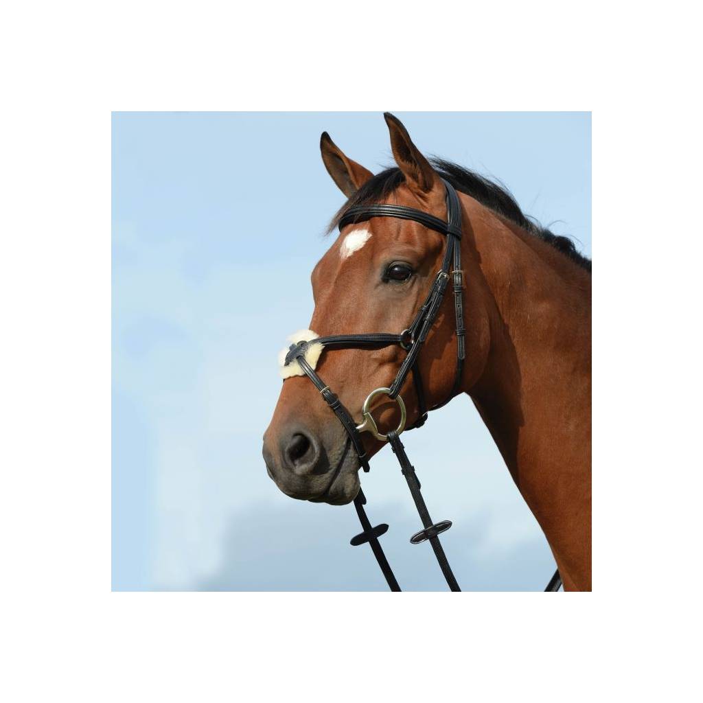 Collegiate Syntovia+ Padded Raised Figure 8 Bridle