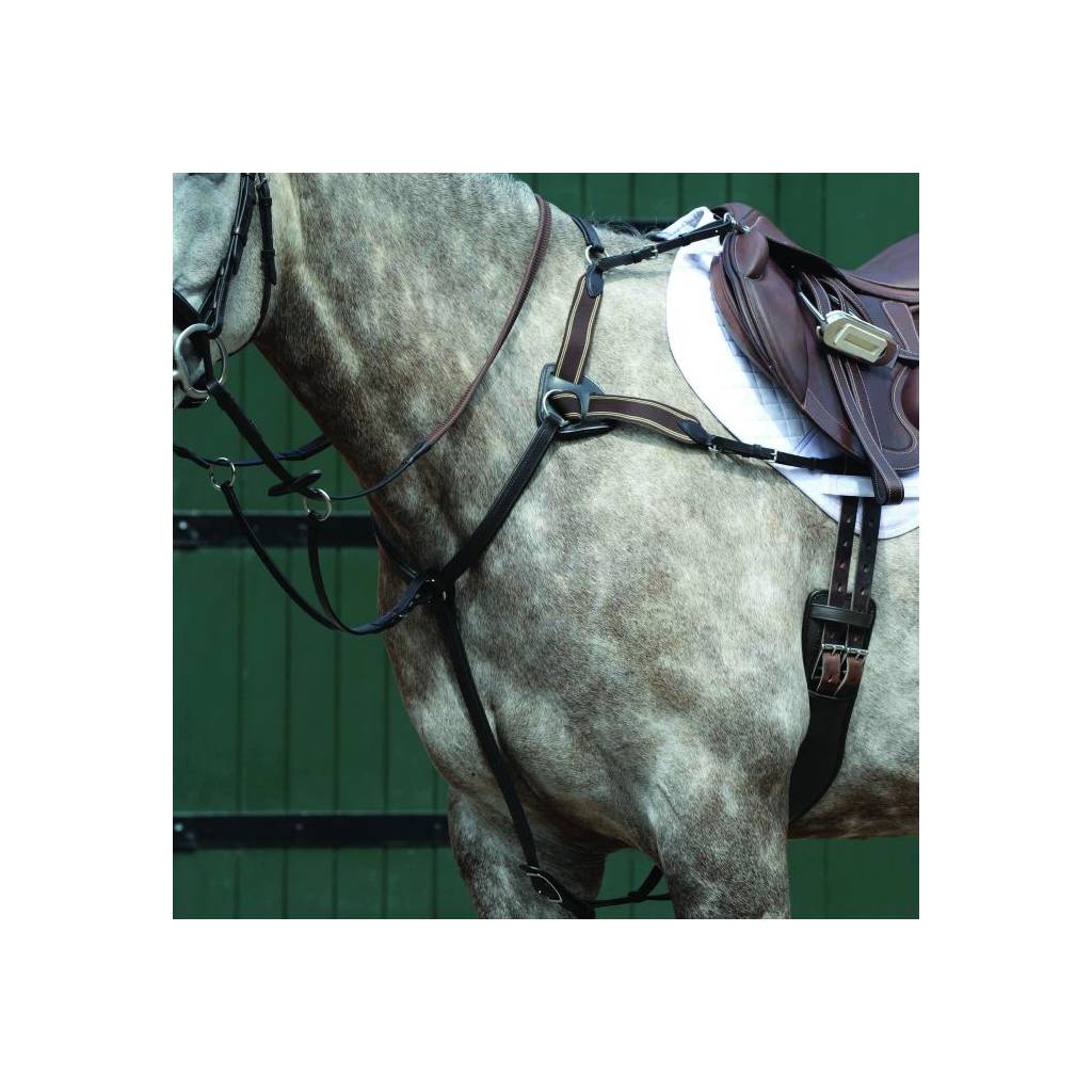 Collegiate Essential 5-Point Breastplate