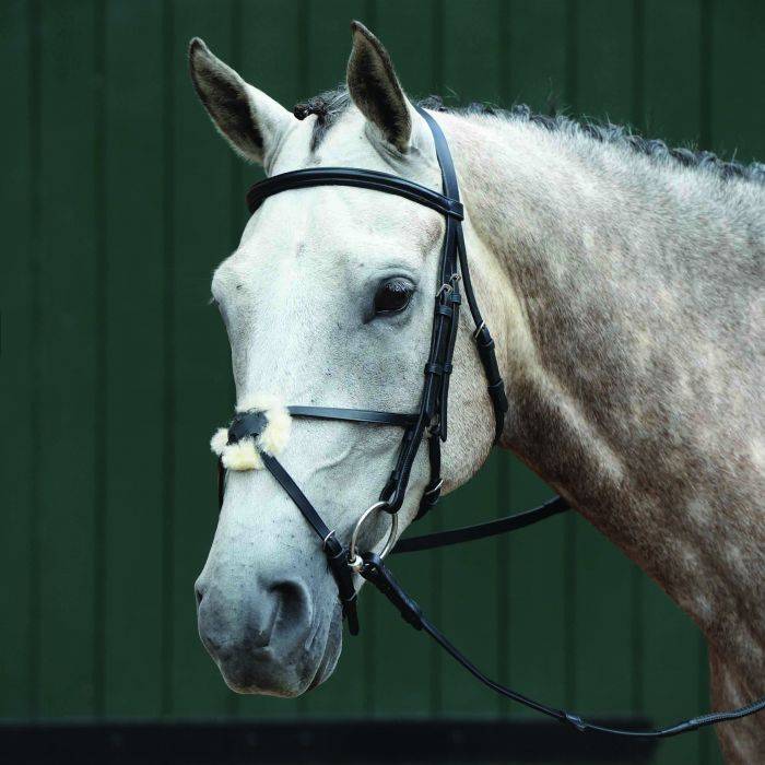 Details about   Collegiate Essential Padded Raised Fancy Stitched Figure 8 Bridle 