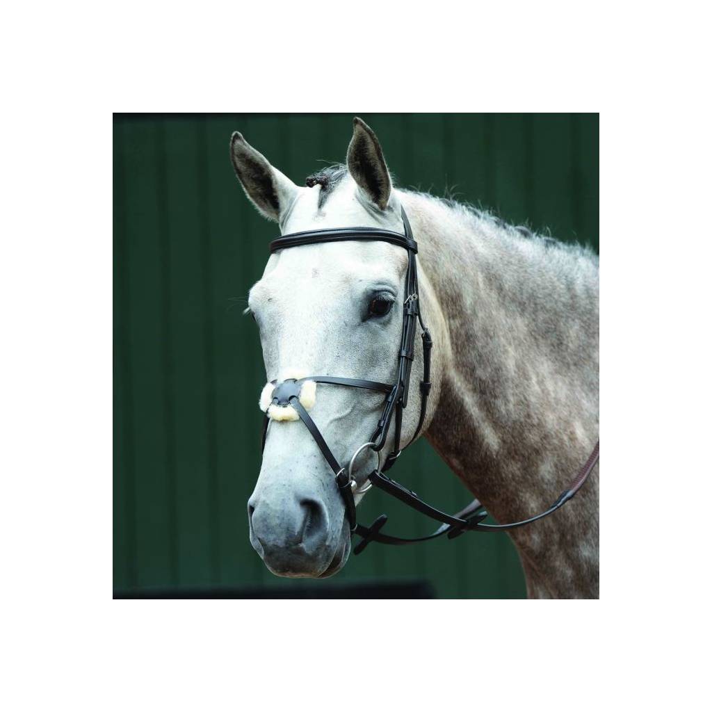 Collegiate Essential Padded Raised Figure 8 Bridle