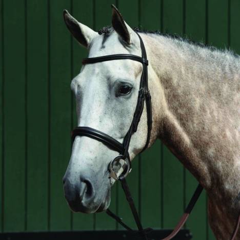 Collegiate Essential Padded Raised Cavesson Bridle