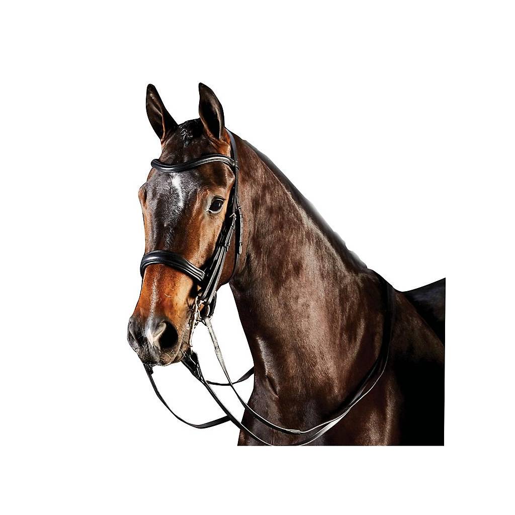 Collegiate ComFiTec Weymouth Bridle