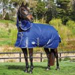 Weatherbeeta ComFiTec Premier Free II Detach-A-Neck Medium Turnout Blanket