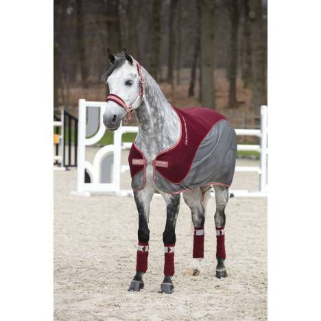 Horseware Fashion Hybrid Cooler