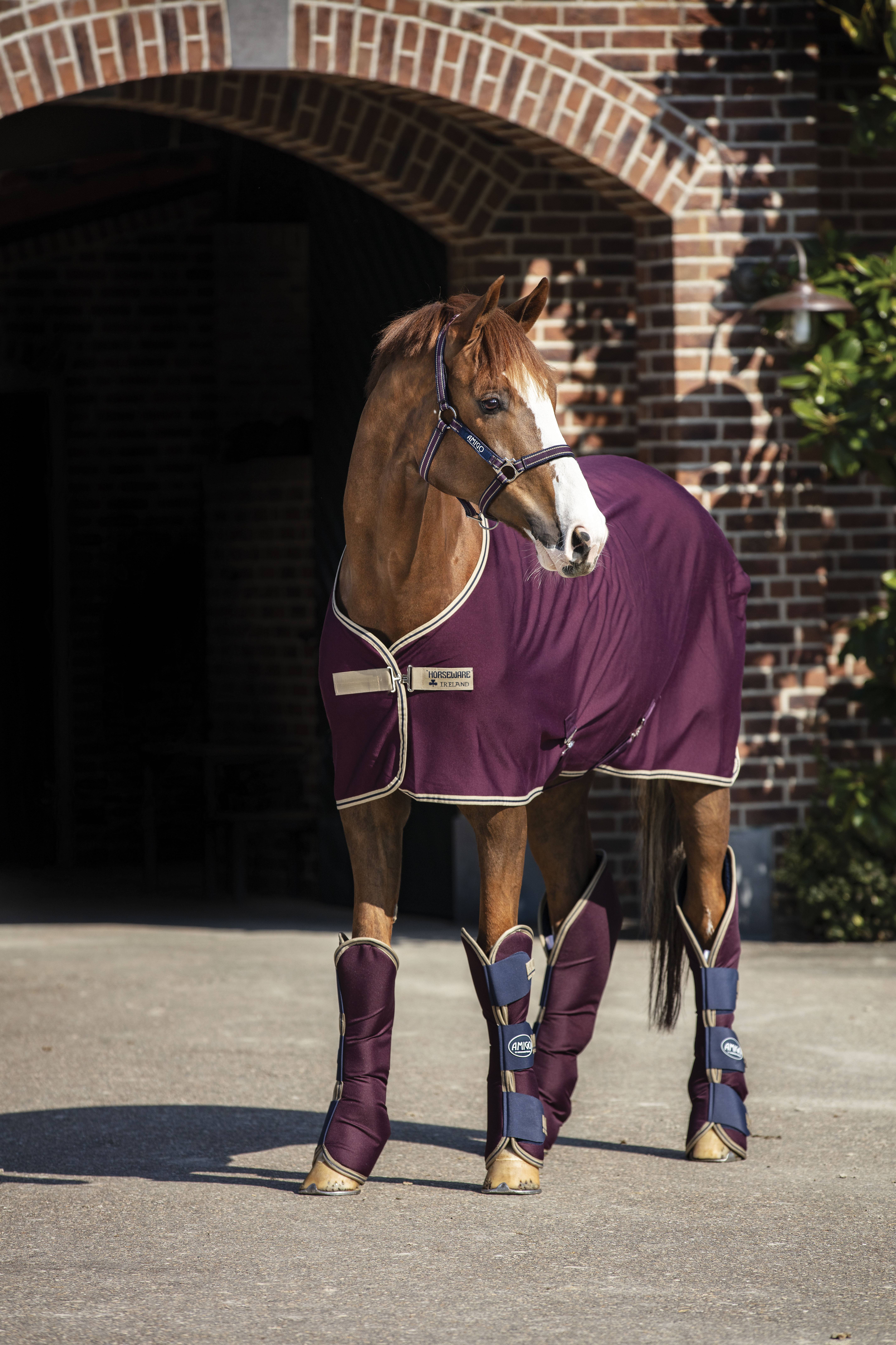 Amigo Jersey Cooler - 2014