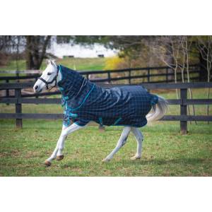 Amigo Pony Plus Turnout Blanket (50g Lite)