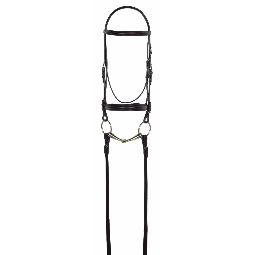 Aramas Plain Raised Padded Dressage Bridle with Web Reins