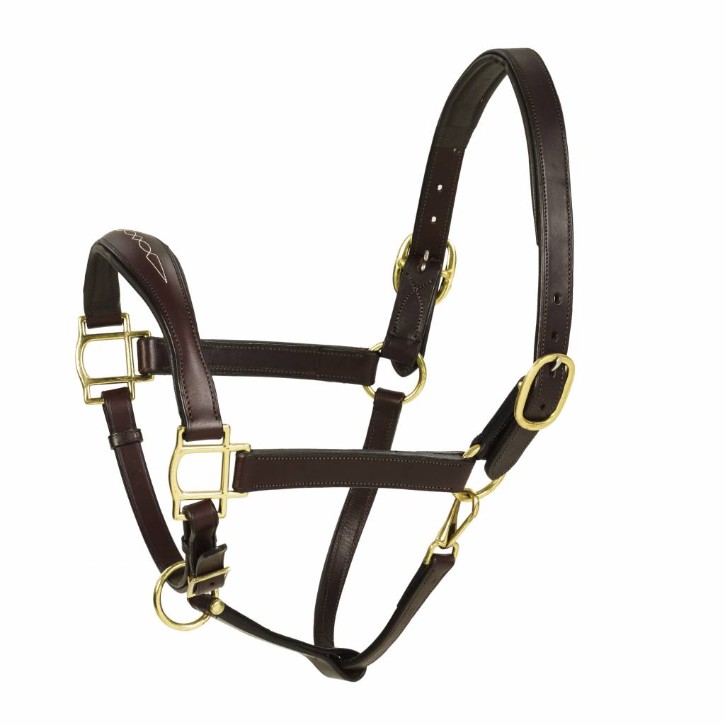 Aramas Fancy Raised ZERO Shape Padded Halter