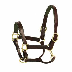 HK Americana Fancy Stitched Green Leather Padded Halter