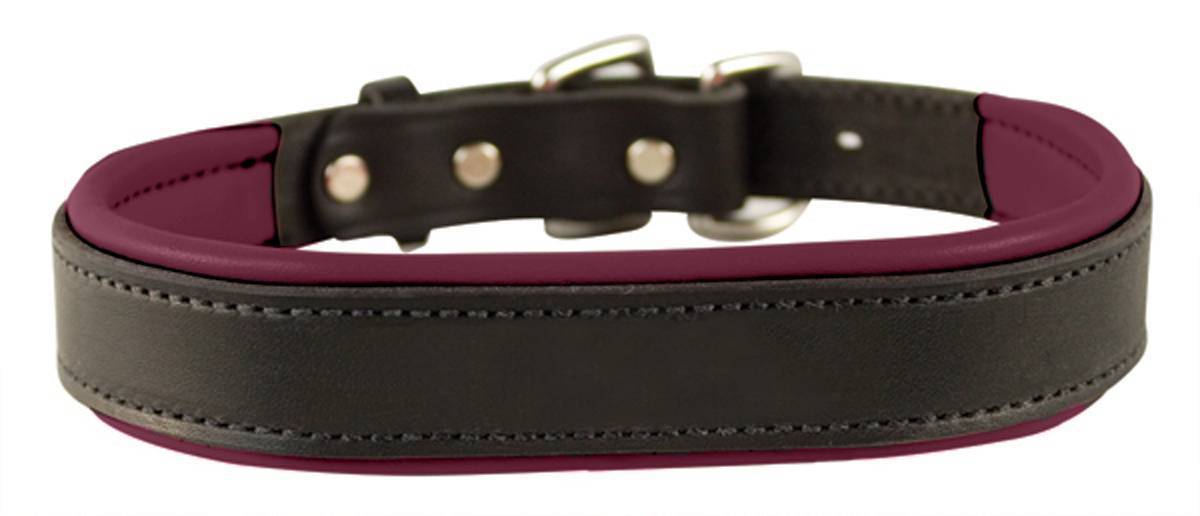 equestrian dog collars