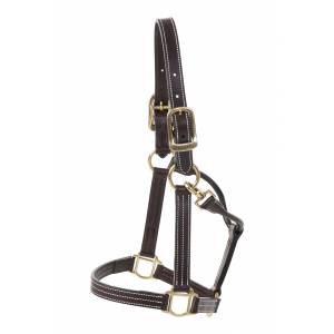 Huntley Equestrian Sedgwick Premium Leather Triple Stitched Halter With Snap