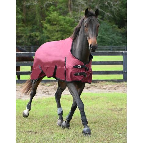 Gatsby Premium 1200D Heavyweight Waterproof Turnout Blanket