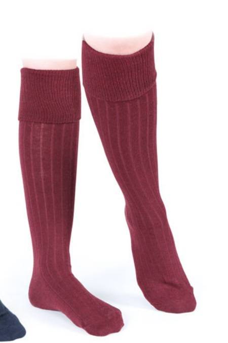 Shires Aubrion Cottonwood Boot Socks in Beige Adult 