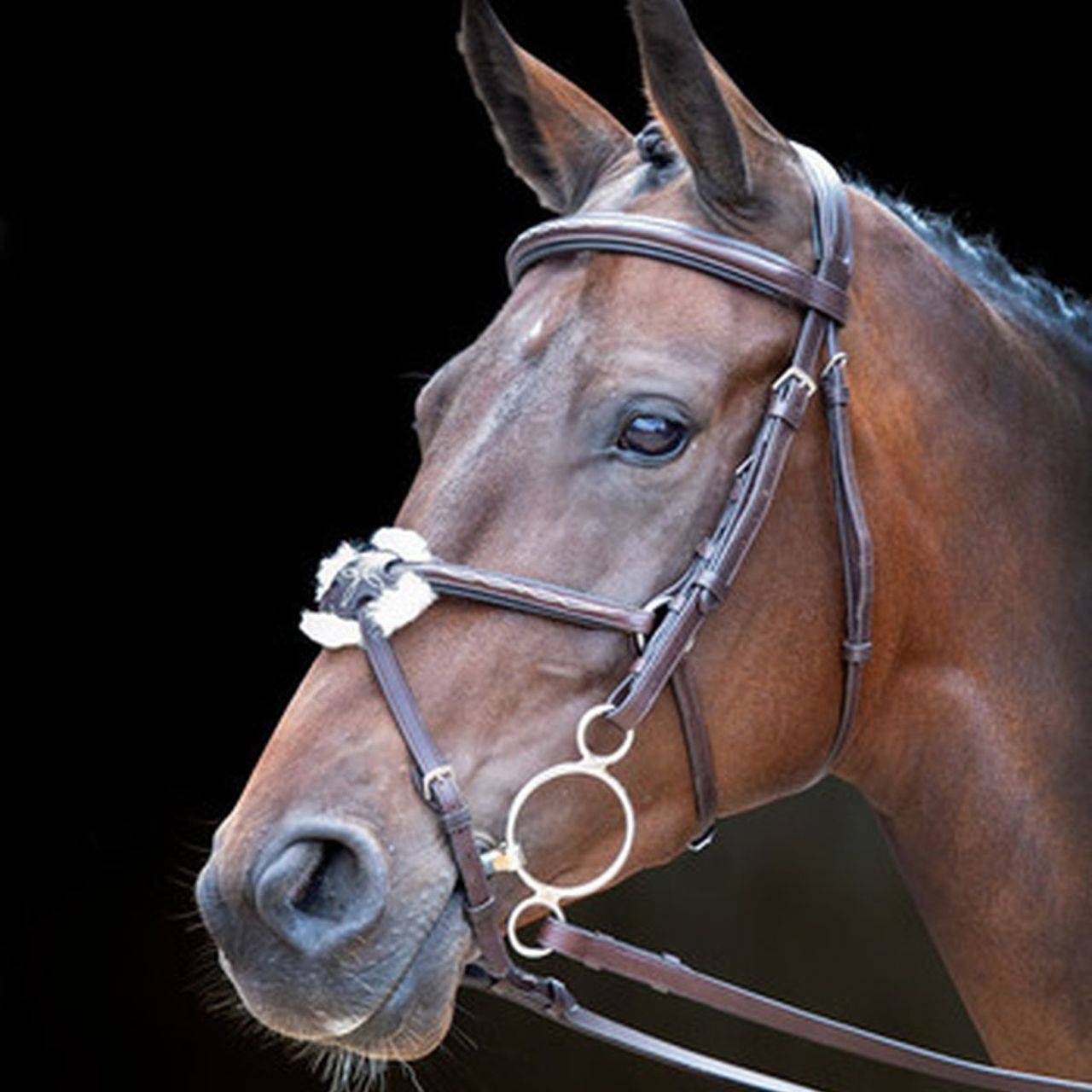 Small Pony Shires Aviemore Plain Bridle With Rubber Grip Reins Havana