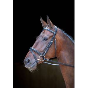 Shires Rossano Milan Bridle