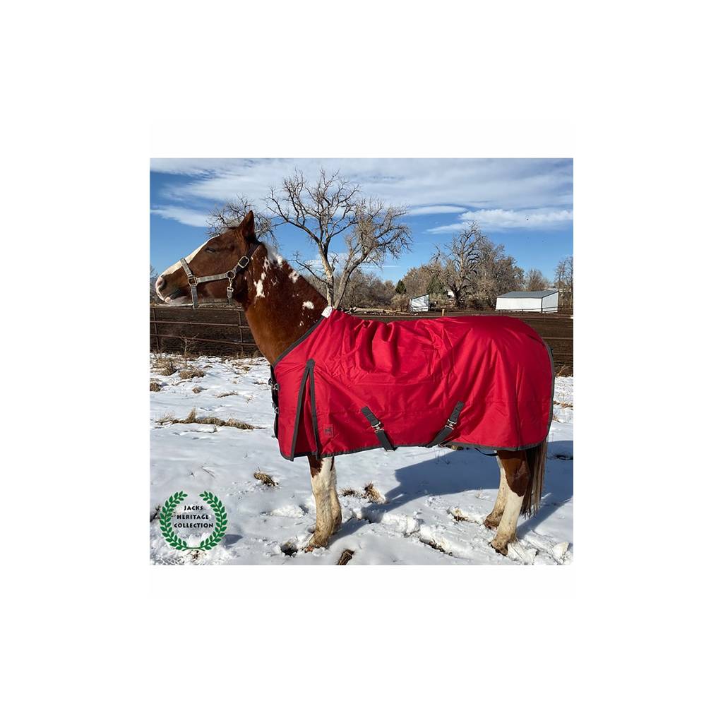 Jacks Atlas 600D Turnout Blanket with 300GM Lining