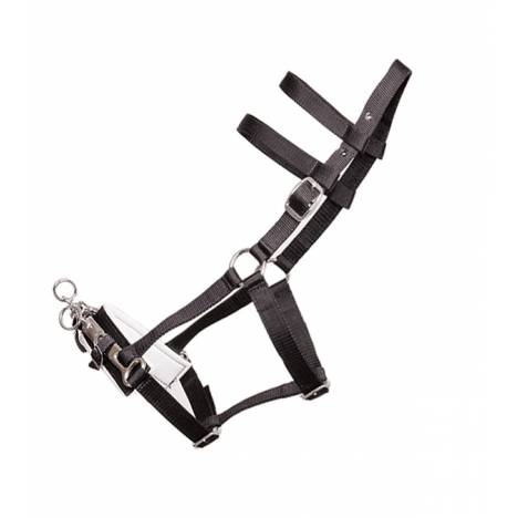 Jacks Lunging Halter with Nylon Webbing