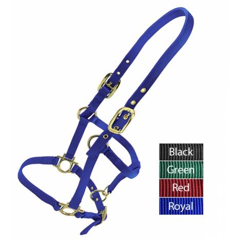 Valhoma Weanling Halter