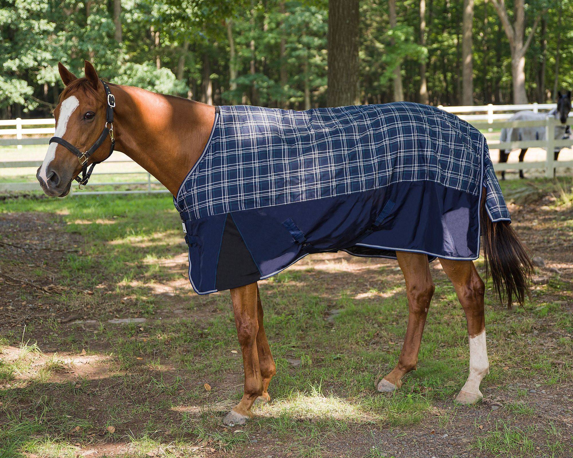 TuffRider Horse Blankets | EquestrianCollections