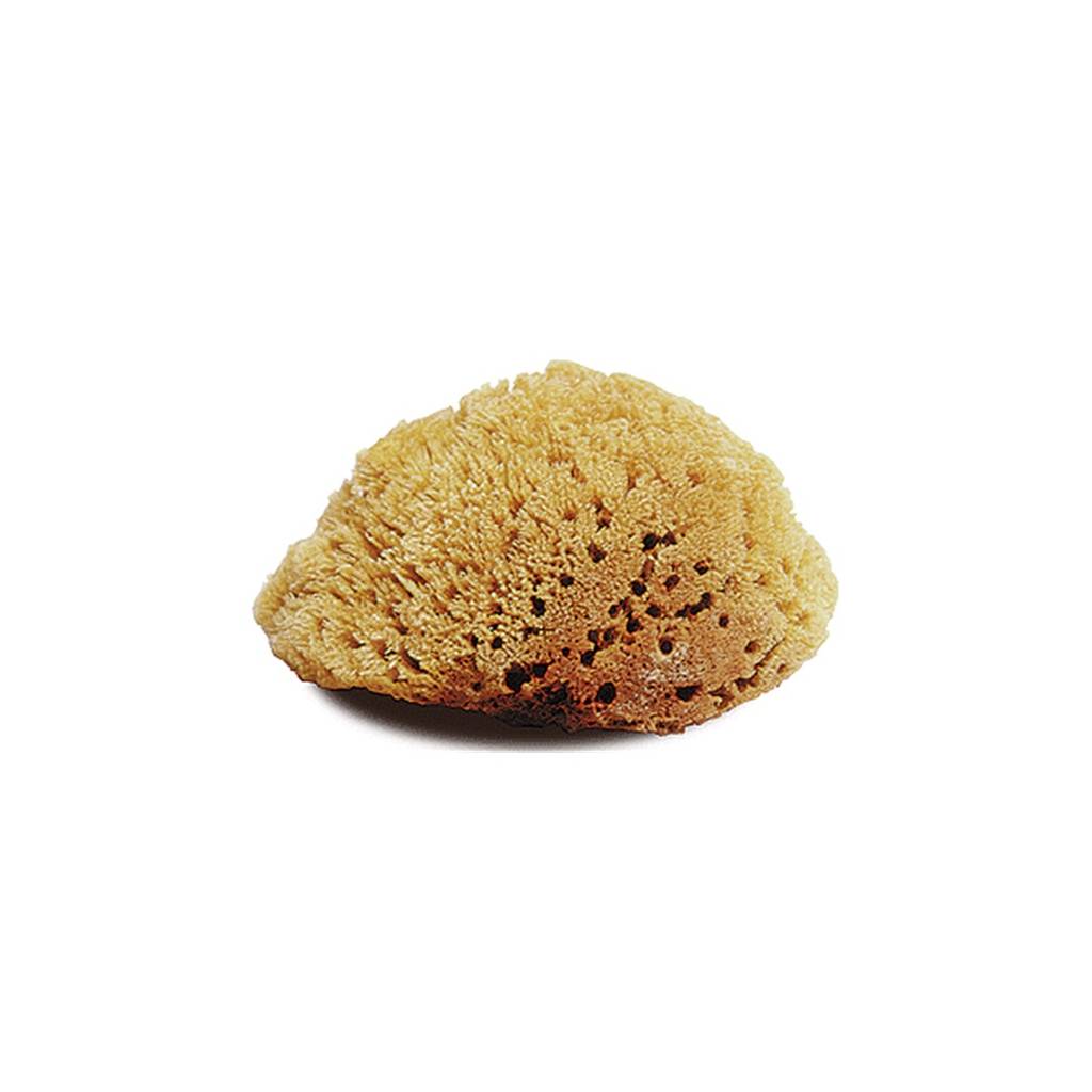 Jacks Natural Large Body Sponge