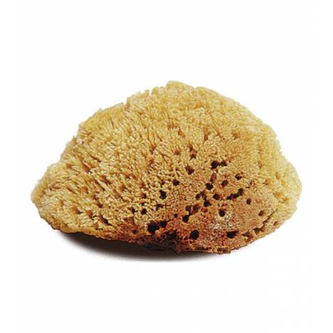 Jacks Natural Large Body Sponge