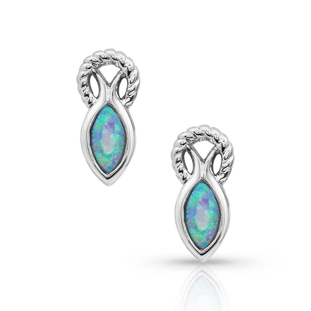 4-222095 Montana Silversmiths Rooted in Water Earrings sku 4-222095