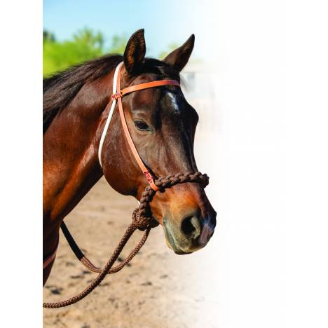 Professionals Choice Loping Hackamore