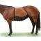 Cashel Quiet Ride Belly Guard Horse Fly Sheet
