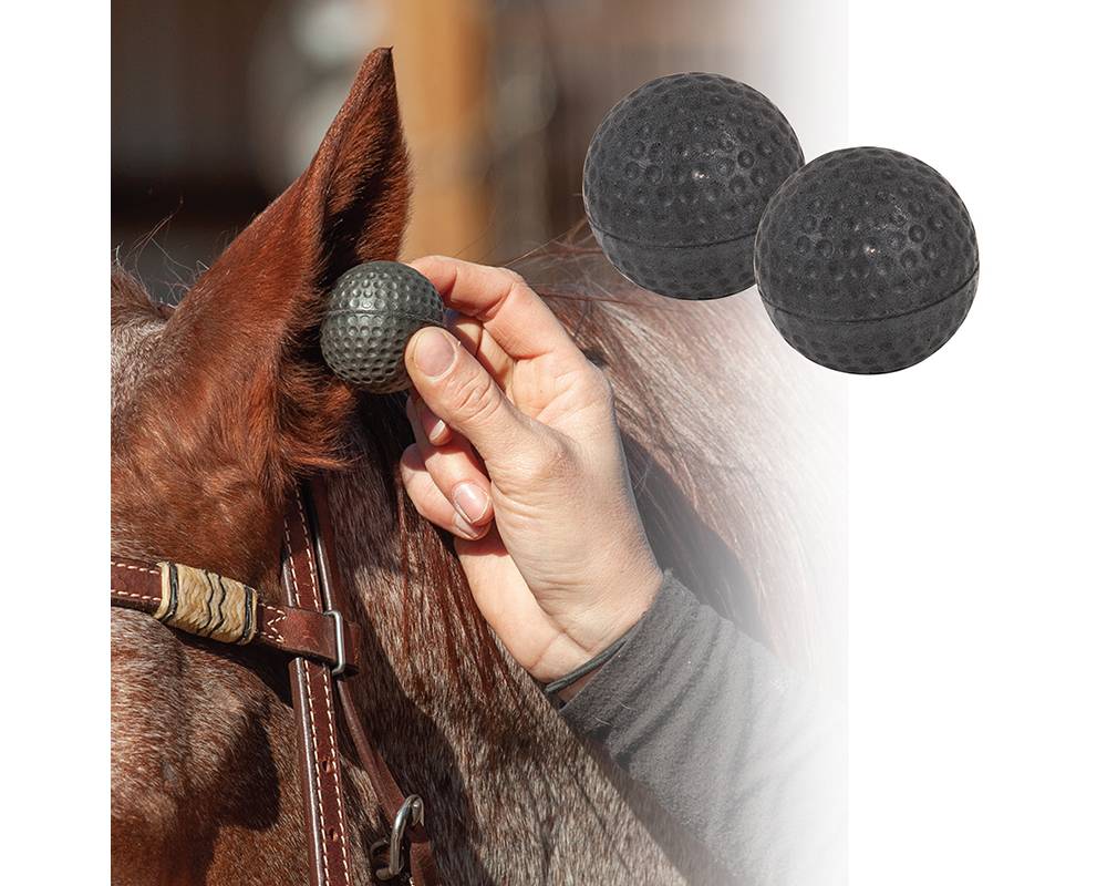 Horse Ear Plugs EquestrianCollections