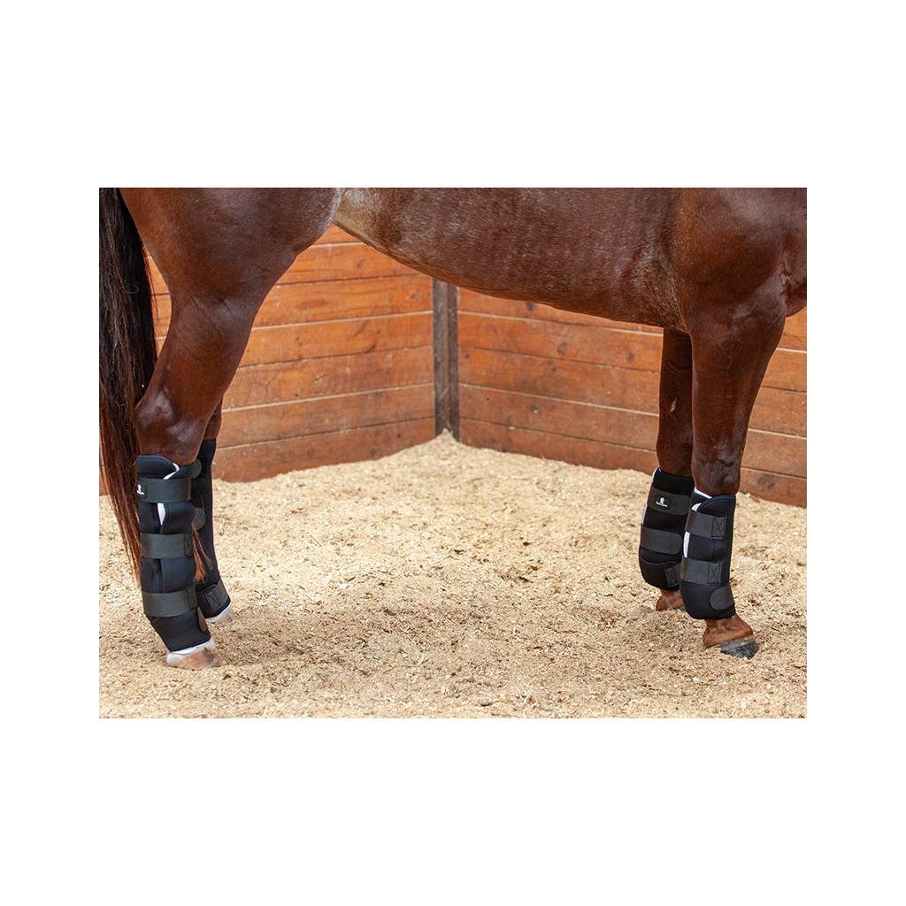 Classic Equine Quilted Standing Wraps - Black, Set of 4