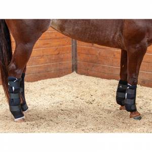 Classic Equine Quilted Standing Wraps - Black, Set of 4