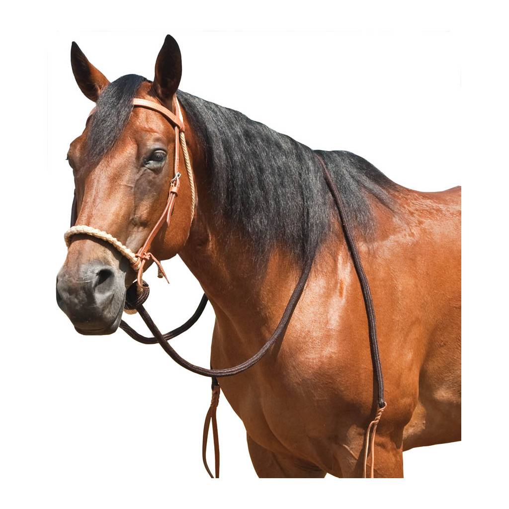 Mustang Breaking Hackamore with Round Braided Noseband