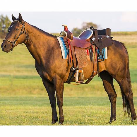 Mustang Ride with Me Seat with Stirrups