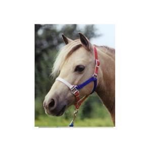 Ozark Mini/Pony Nylon USA Halter 5/8 Inch