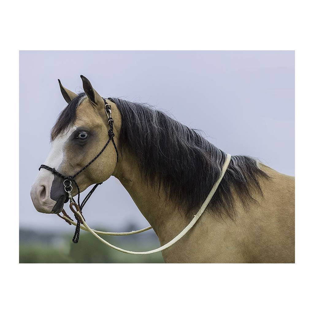 Mustang Bitless Halter Bridle