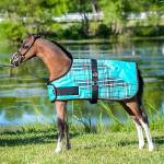 Ozark Miniature, Foal & Pony Blankets