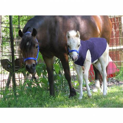 Ozark Mini Polarfleece Foal Jacket