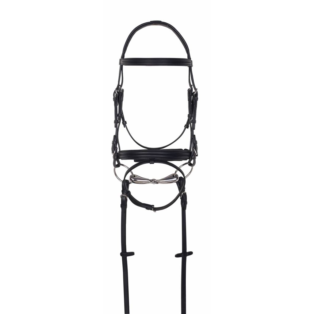 Aramas Double Raised Padded Dressage Bridle with Leather Reins