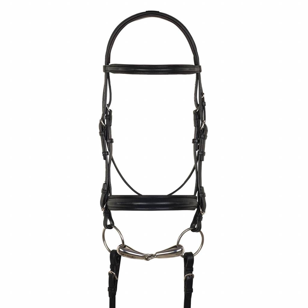 Aramas Plain Raised Padded 1-1/2" Wide Nose Dressage Bridle with Leather Reins