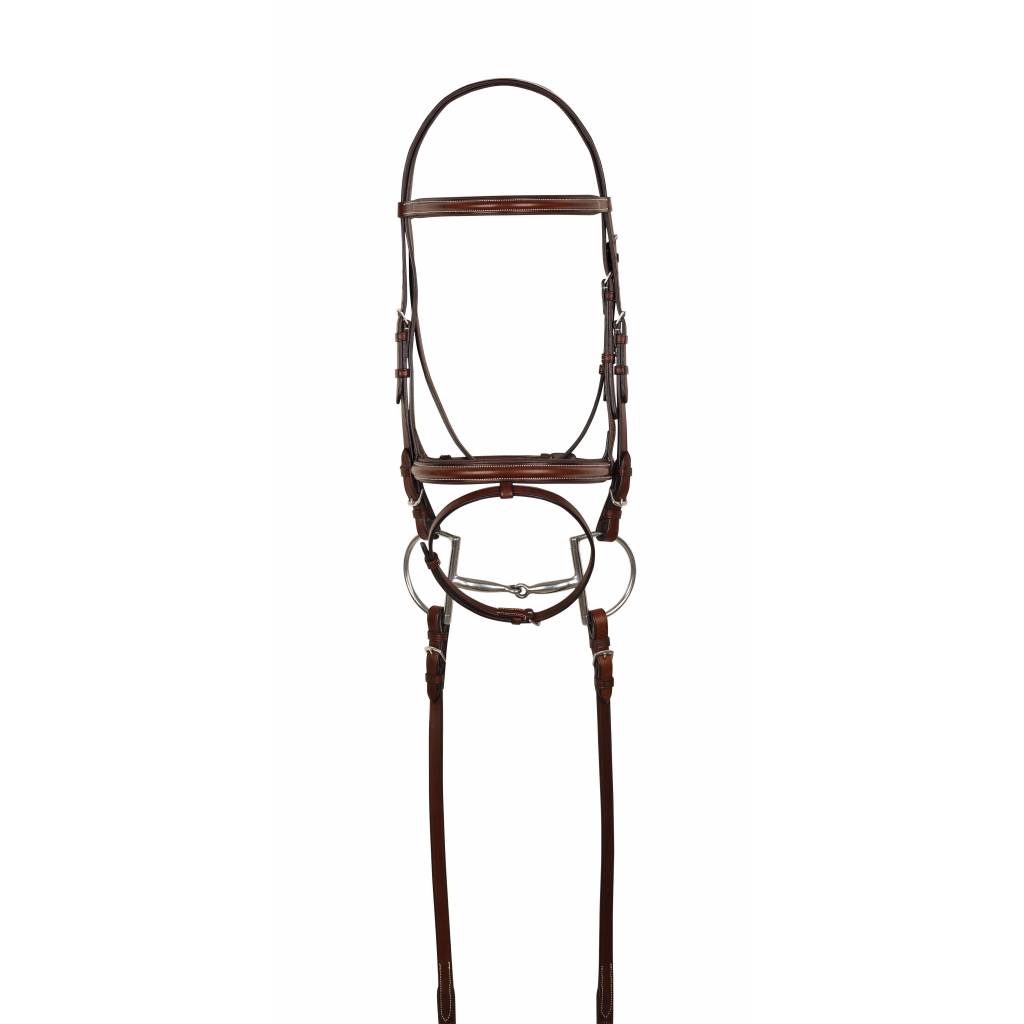 HK Americana Raised Padded Event Bridle with Flash and Web Reins