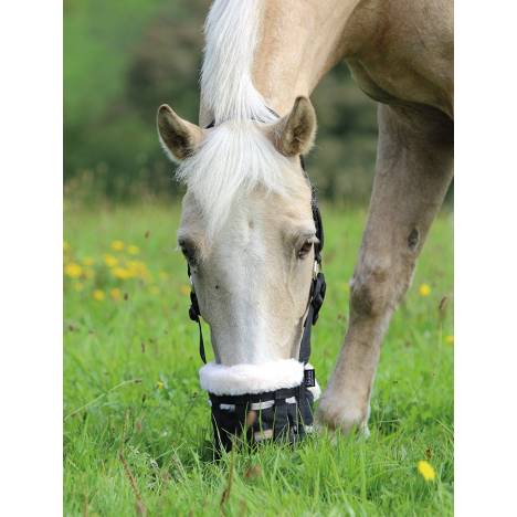 Shires Deluxe Grass Muzzle