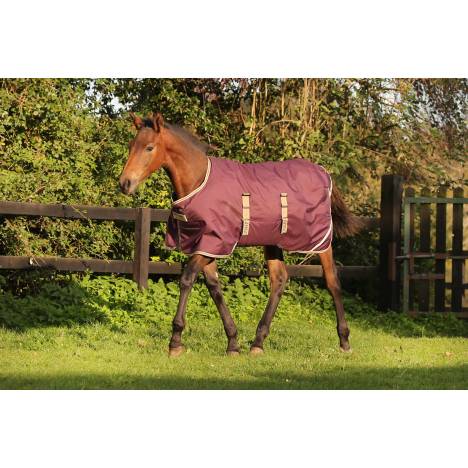 Amigo Ripstop Foal Turnout (200g Medium)