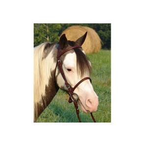 Ozark Mini/Pony English Leather Bridle