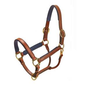 Tory Leather Padded Leather Halter